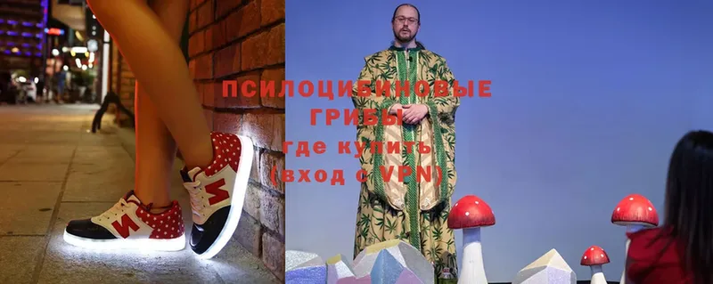 Галлюциногенные грибы Cubensis  Шуя 